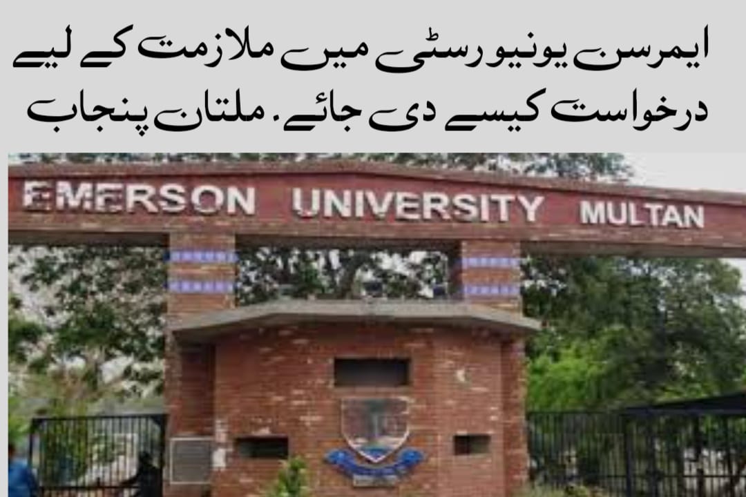 Emerson University Jobs in Multan August 2024 Advertisement