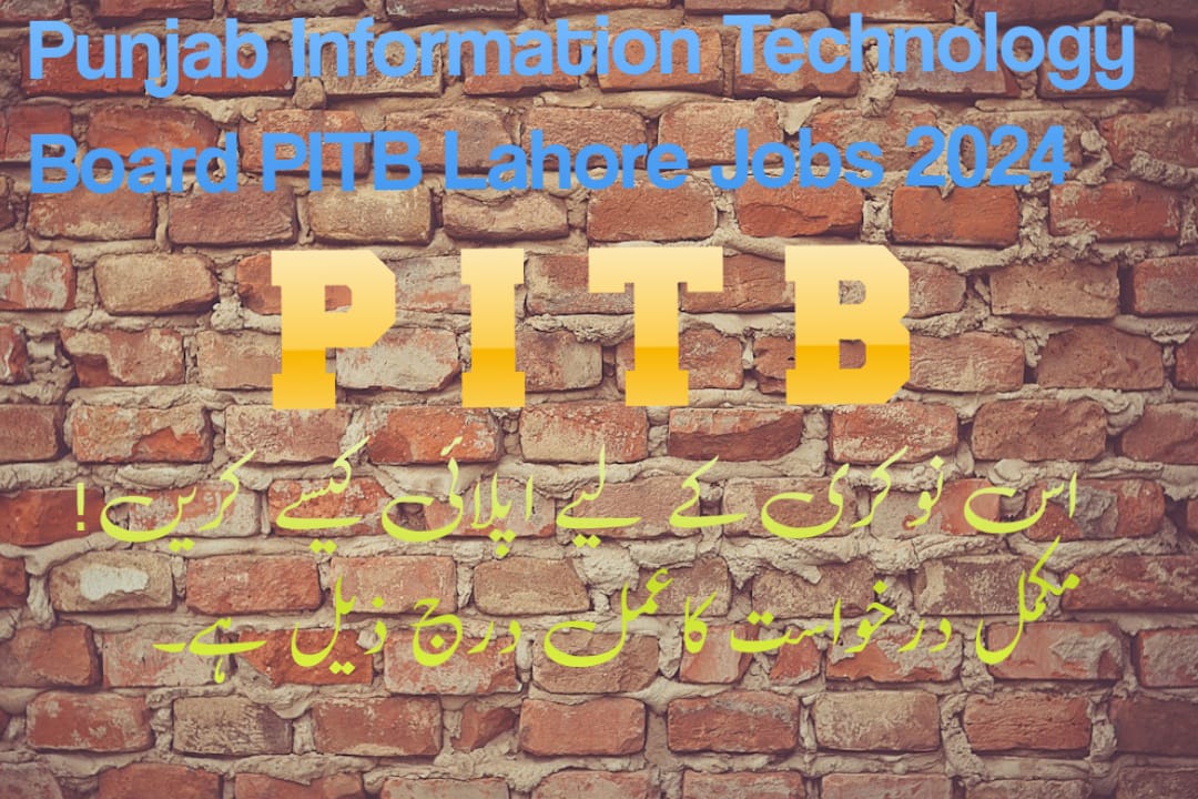 Punjab Information Technology Board PITB Lahore Jobs 2024